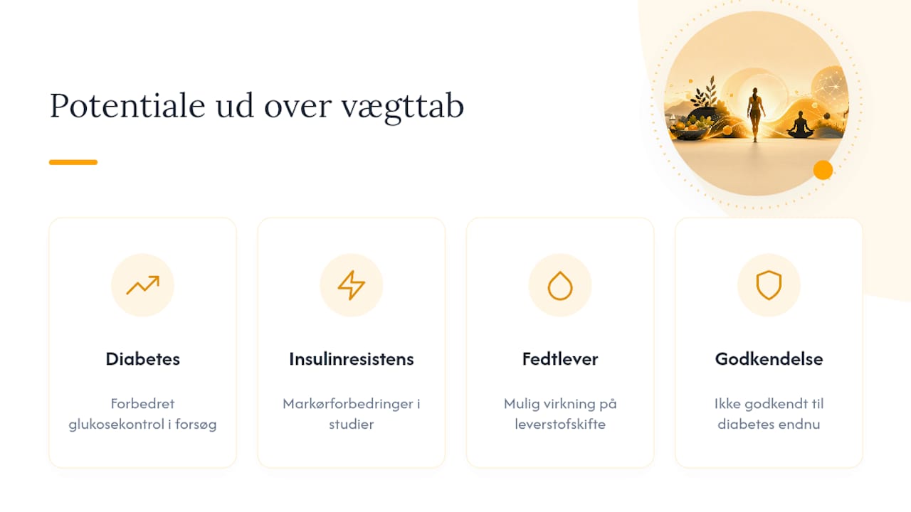Mere end vægttab: potentialet for type 2-diabetes og andre tilstande — overview diagram