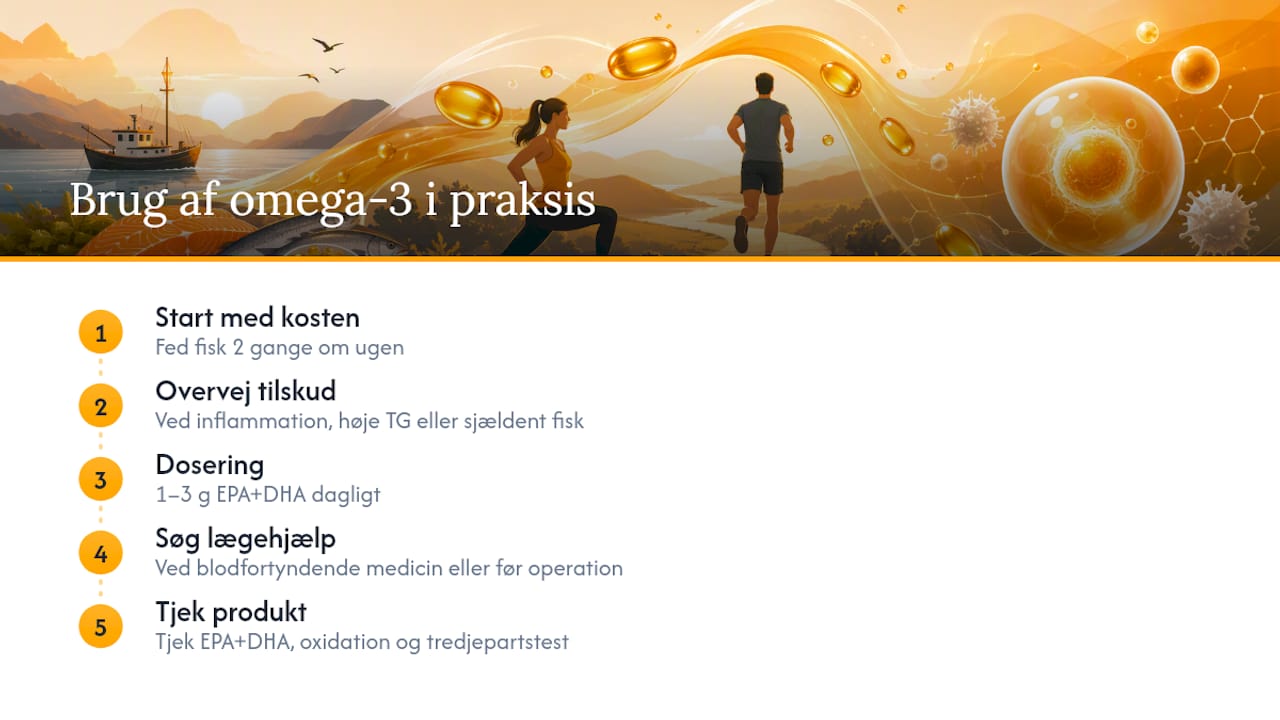 Praktisk guide til brug af omega-3